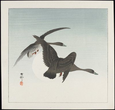 Geese in Flight, pre-1912 by Ohara Koson